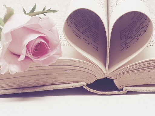 How Important Are Romance Book Themes? Should Authors Follow Them?